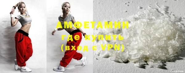 индика Алзамай