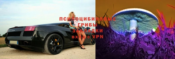 стаф Алексеевка
