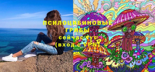 спиды Алексин
