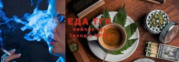 индика Алзамай