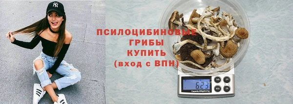 индика Алзамай