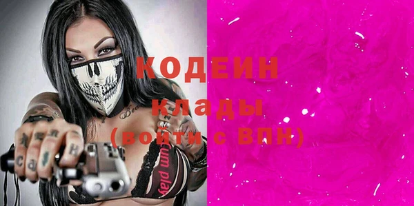 индика Алзамай