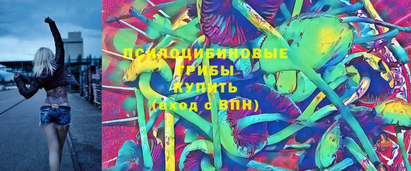 индика Алзамай