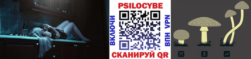 Псилоцибиновые грибы GOLDEN TEACHER купить Темников